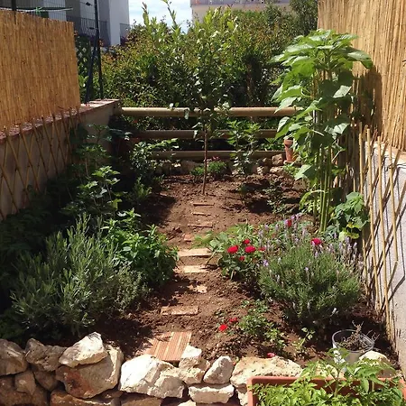 Il Raggio Apartmán Capri