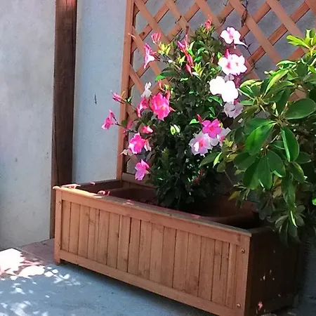 Appartement Il Raggio *